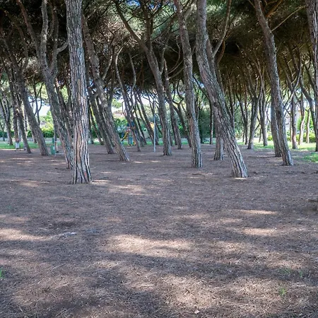 La Veranda Di Marconi Casa vacanze